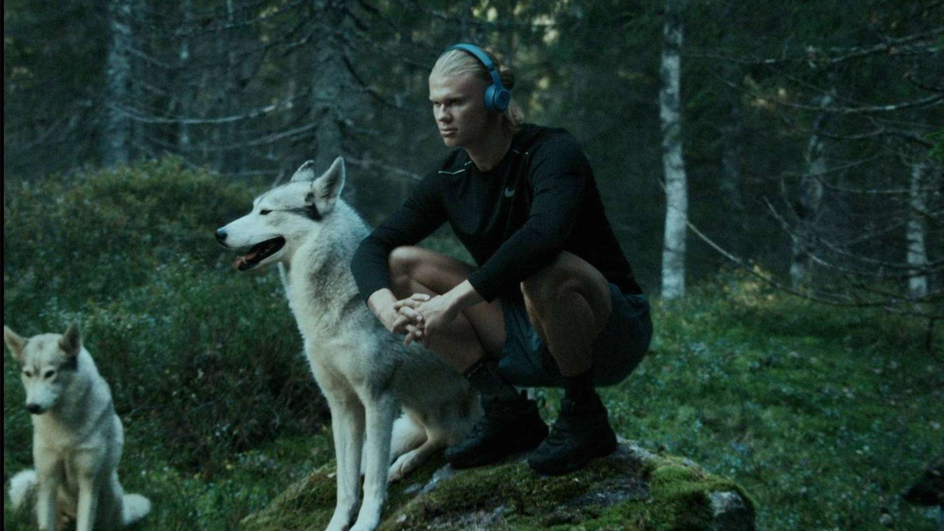 拒绝沙特 拒绝沙特