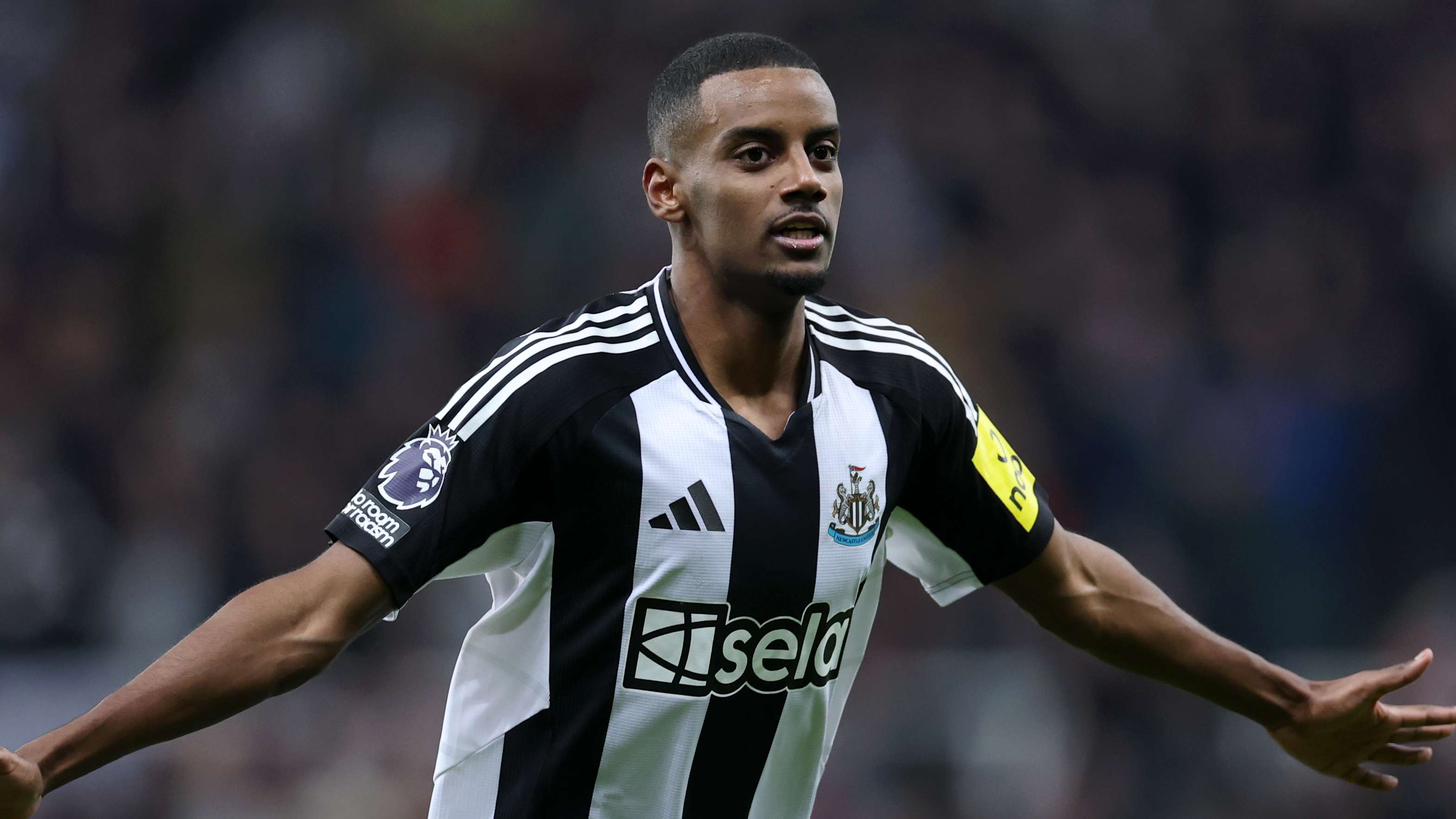 伺机反击 伺机反击